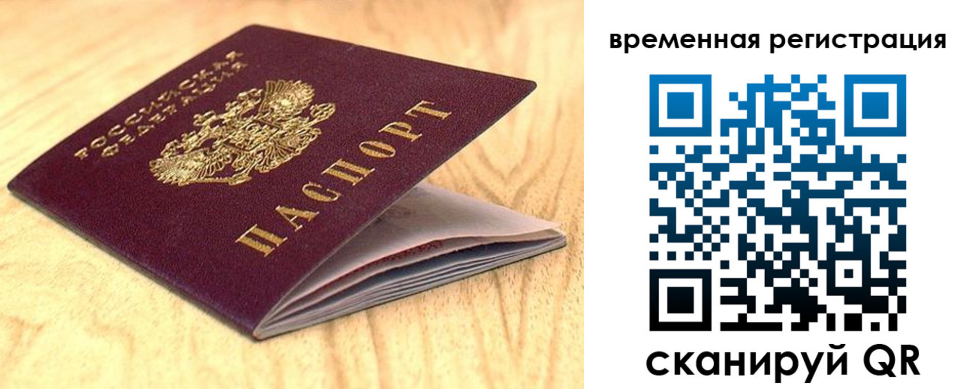 найти адрес прописки в Камышине