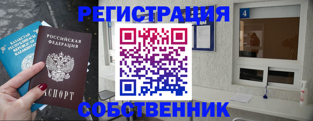 прописка поиск в Камышине