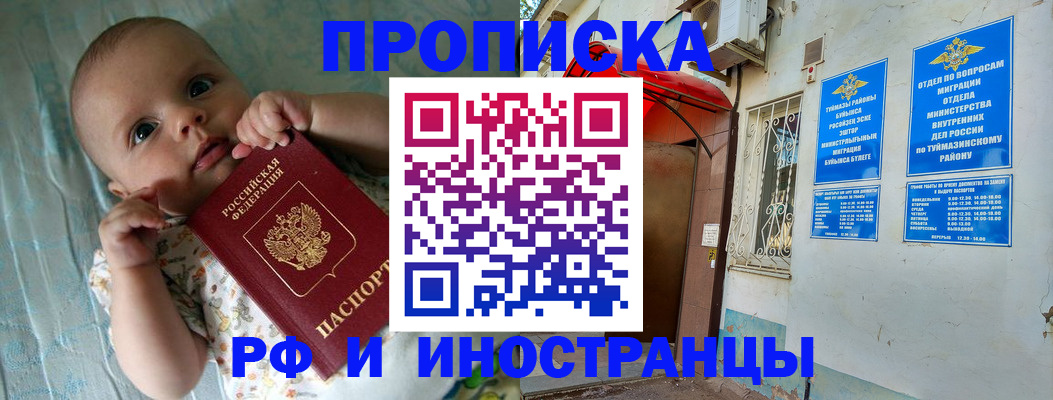 найти адрес прописки в Камышине